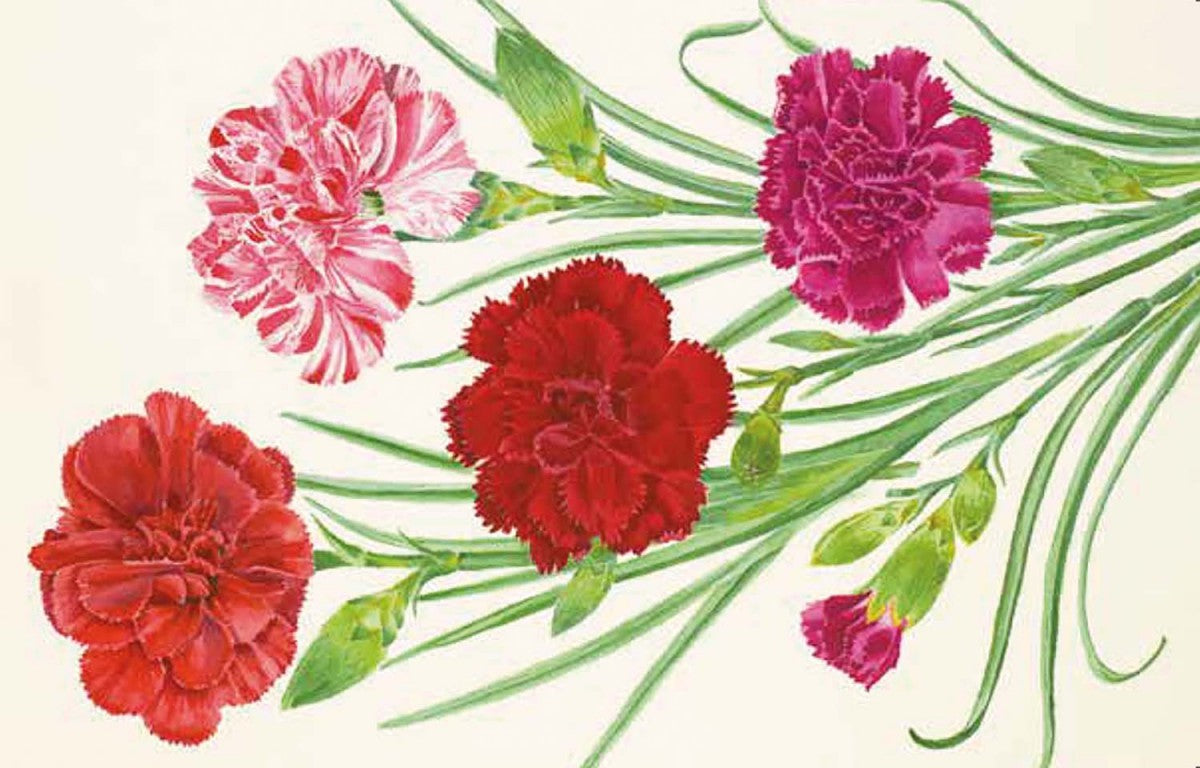 100 flores. Tarjetas con motivos florales (RHS)