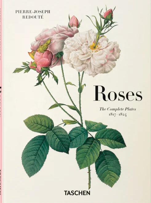 Pierre-Joseph Redout、The Roses3、希少画集画 Redouté. Roses – Contrapunto