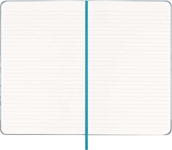 Cuaderno Casa Batlló - Tapa dura - Large - De rayas