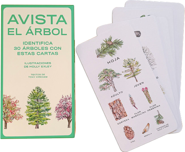 Avista el árbol