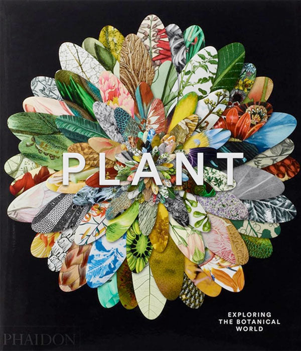 Plant: Exploring the botanical world