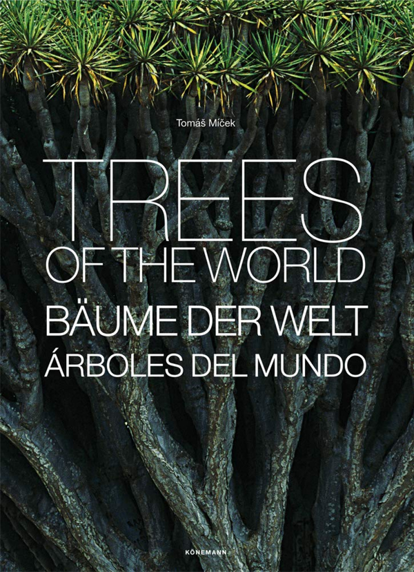Trees of the world. Arboles del mundo
