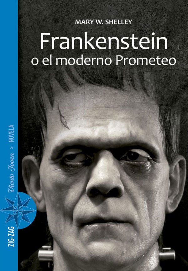 Frankenstein o el moderno prometeo