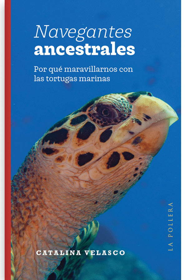 Navegantes ancestrales. Por qué maravillarnos con las tortugas marinas