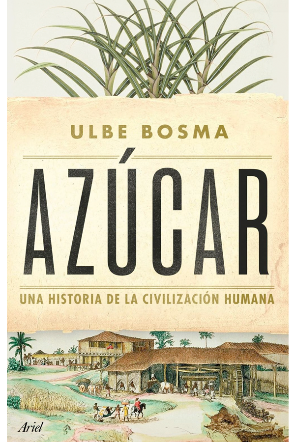 Azúcar