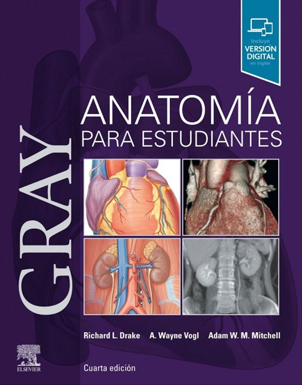 Gray. Anatomía para...