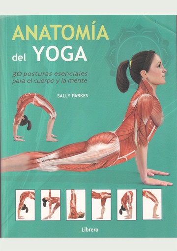Anatomía del yoga