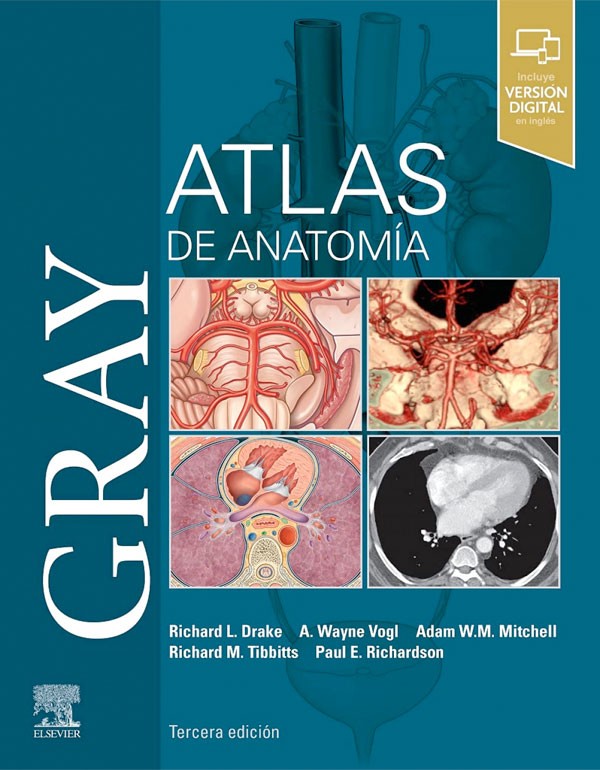 Gray. Atlas de anatomía 3ª Ed,