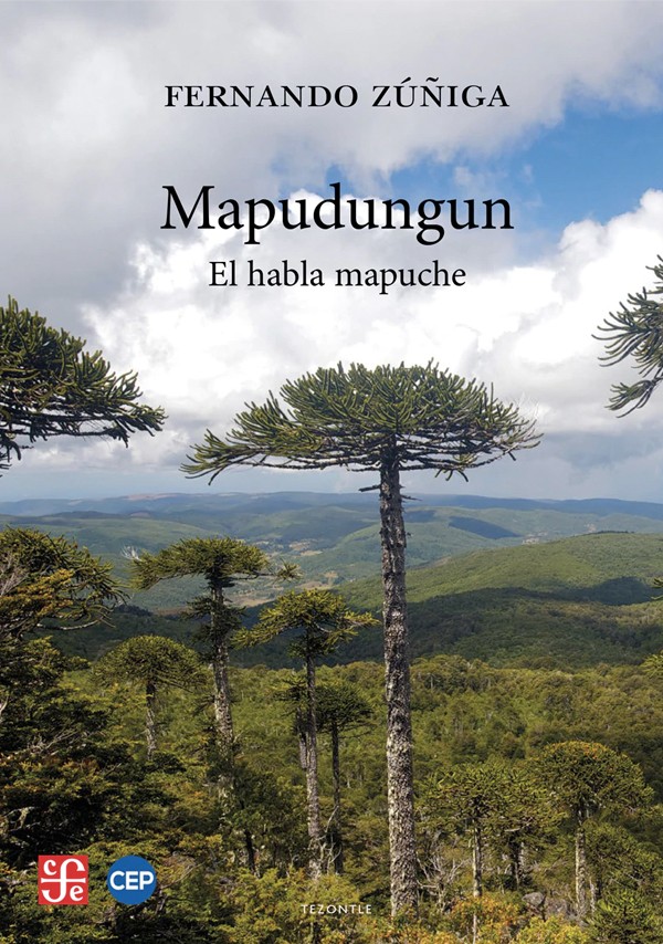 Mapudungun. El habla Mapuche