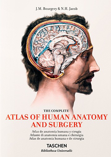 Bourgery. Atlas de anatomía...