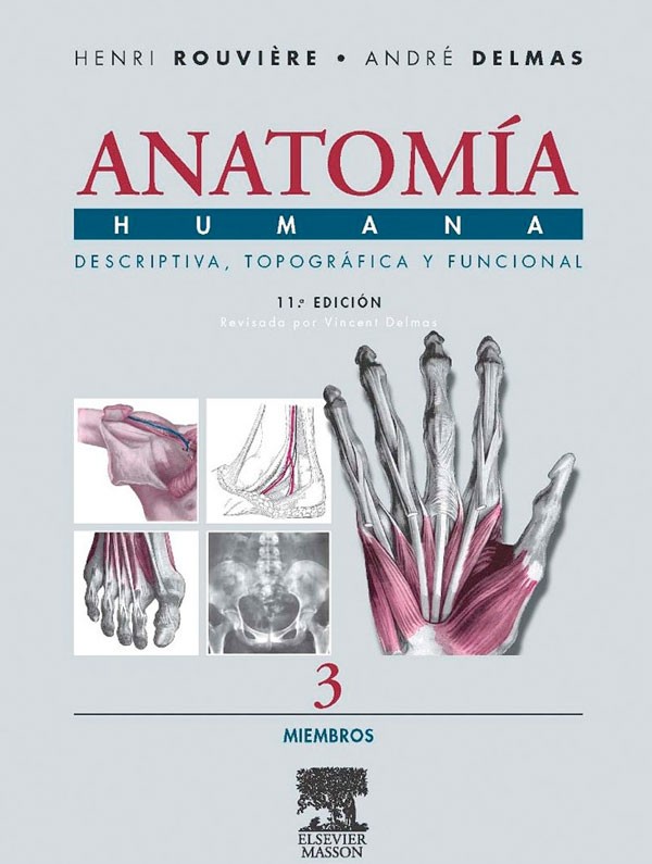Anatomía humana...