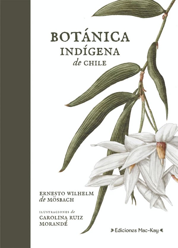 Botánica indigena de Chile