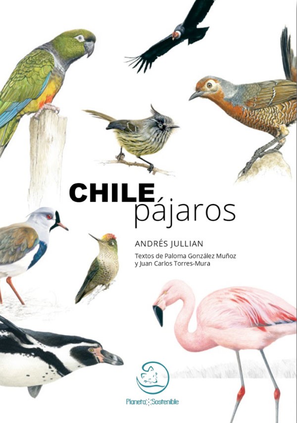 Chile pájaros, una...