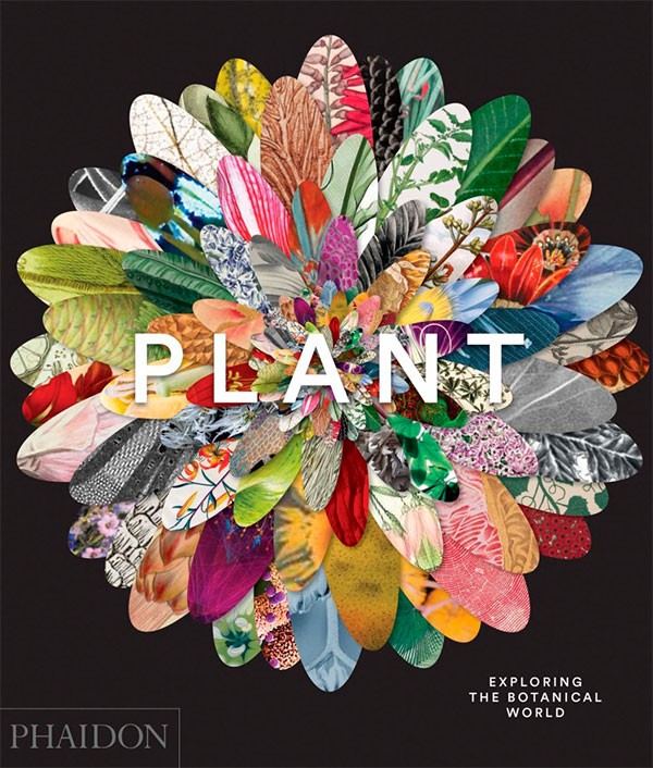 Plant: Exploring the...