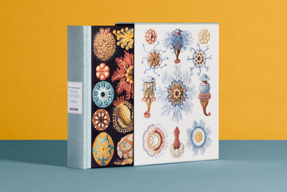 The Art and Science of Ernst Haeckel