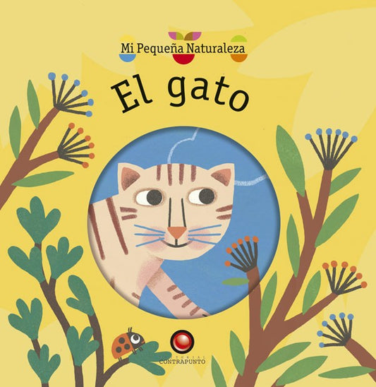 El gato