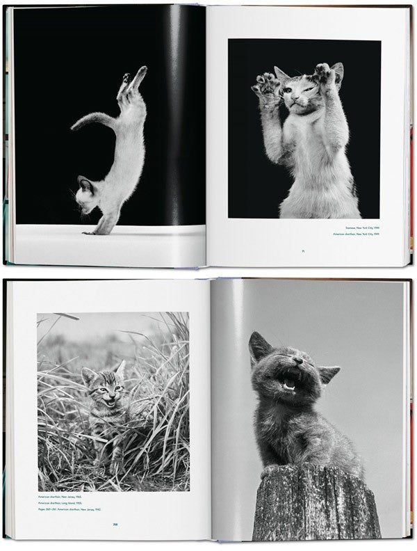 Walter Chandoha. Cats. Photographs 1942-2018