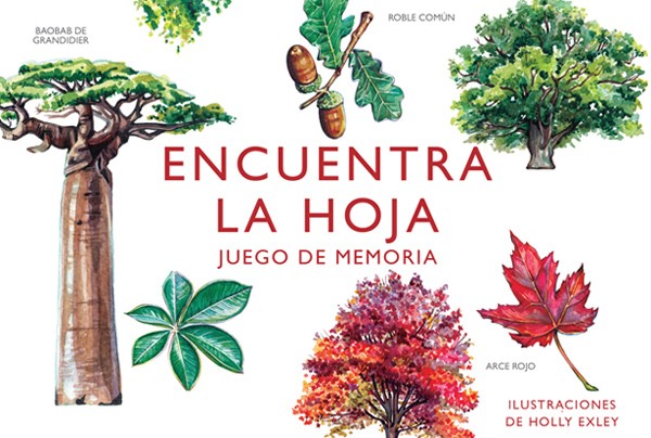 Encuentra la hoja, Juego de memoria