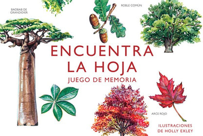 Encuentra la hoja, Juego de memoria