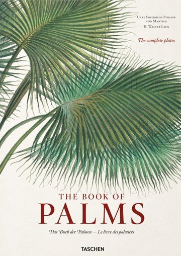 Martius. The Book of Palms