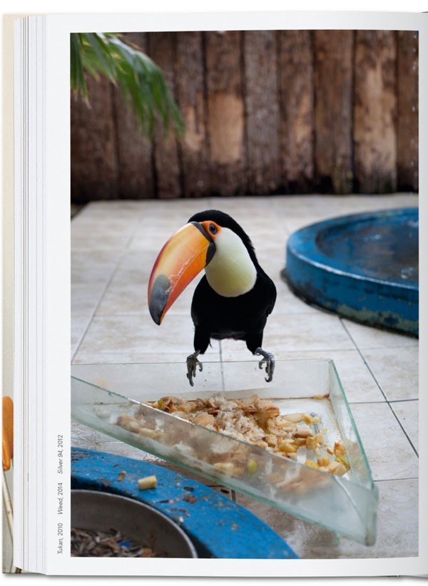 Wolfgang Tillmans. four books. 40th Ed. – Contrapunto