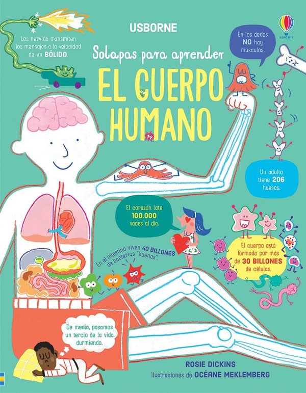 Solapas para aprender - El cuerpo humano