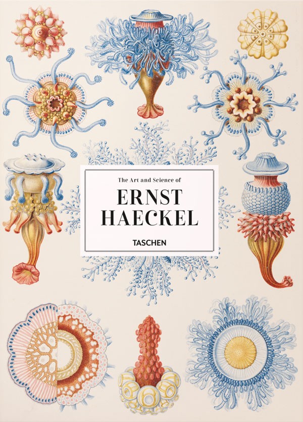 The Art and Science of Ernst Haeckel