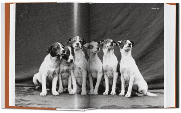 The Dog in Photography 1839-Today. Biblioteca Universal