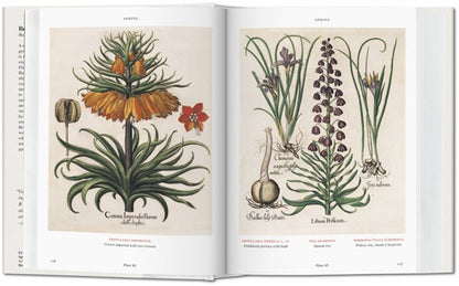 Florilegium. The Book of Plants. Biblioteca Universal