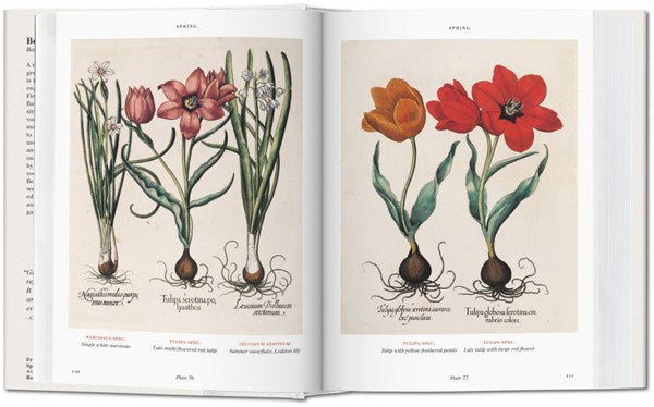 Florilegium. The Book of Plants. Biblioteca Universal