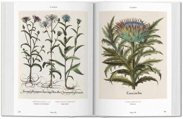 Florilegium. The Book of Plants. Biblioteca Universal