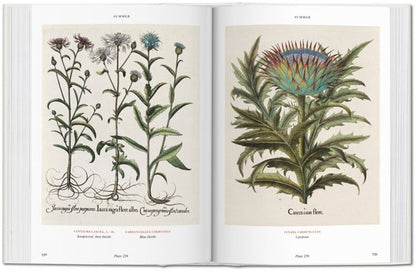 Florilegium. The Book of Plants. Biblioteca Universal