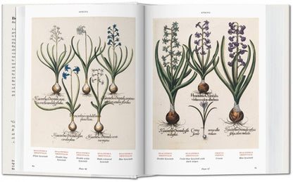 Florilegium. The Book of Plants. Biblioteca Universal