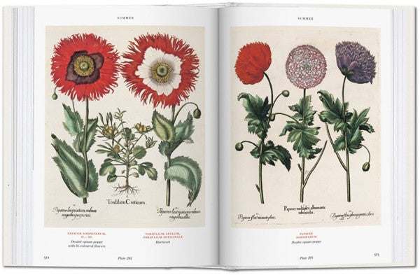 Florilegium. The Book of Plants. Biblioteca Universal