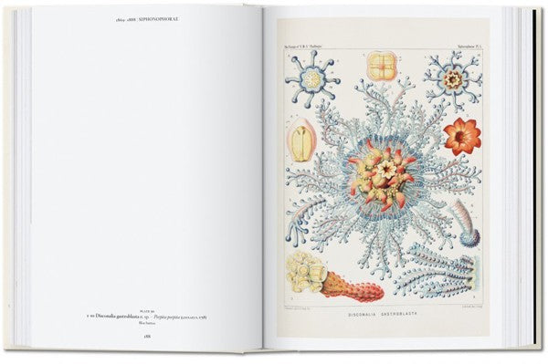 The Art and Science of Ernst Haeckel. 40th Ed.