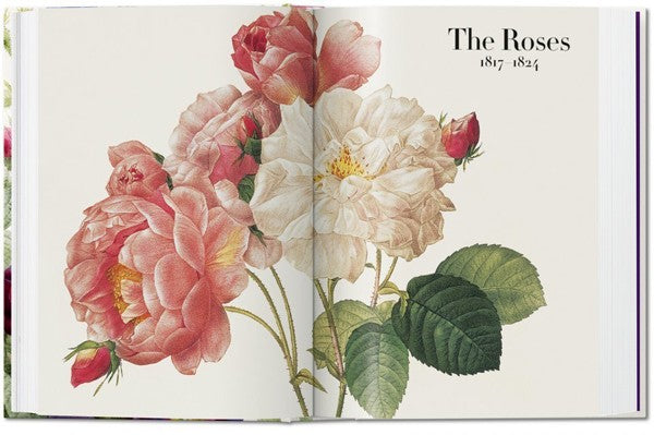 Pierre-Joseph Redouté. El libro de las flores. 40th Ed. – Contrapunto