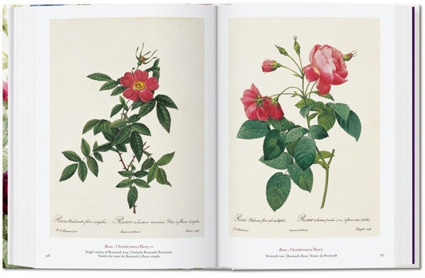 Pierre-Joseph Redouté. El libro de las flores. 40th Ed.