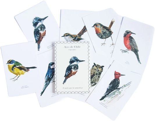 Pack 8 postales aves de Chile