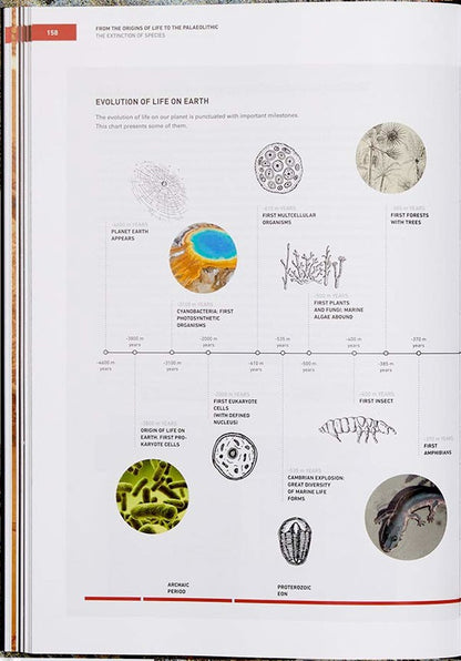 The Origins Of Cooking: Paleolithic And Neolithic Cooking