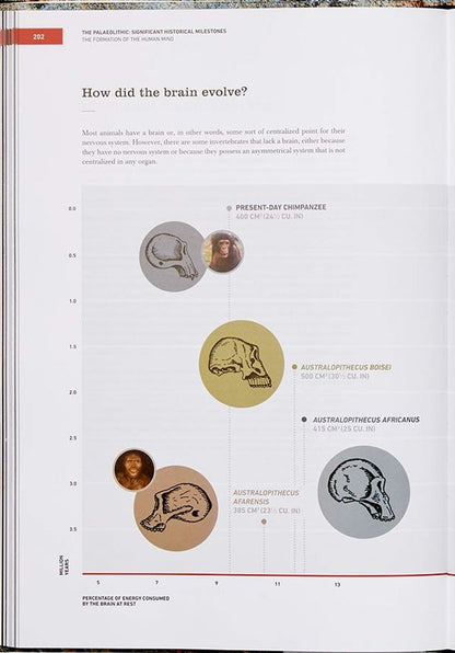 The Origins Of Cooking: Paleolithic And Neolithic Cooking