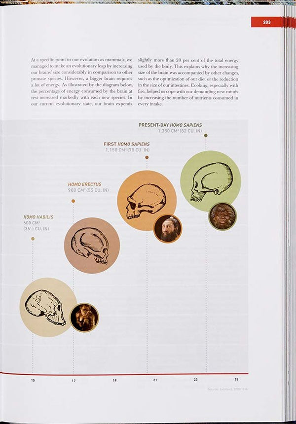 The Origins Of Cooking: Paleolithic And Neolithic Cooking