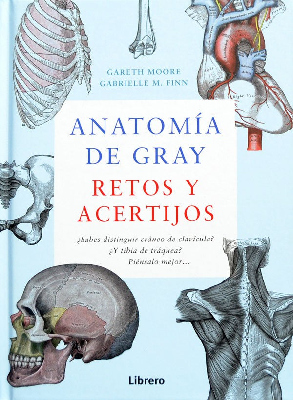 Anatomia de Gray. Retos y acertijos