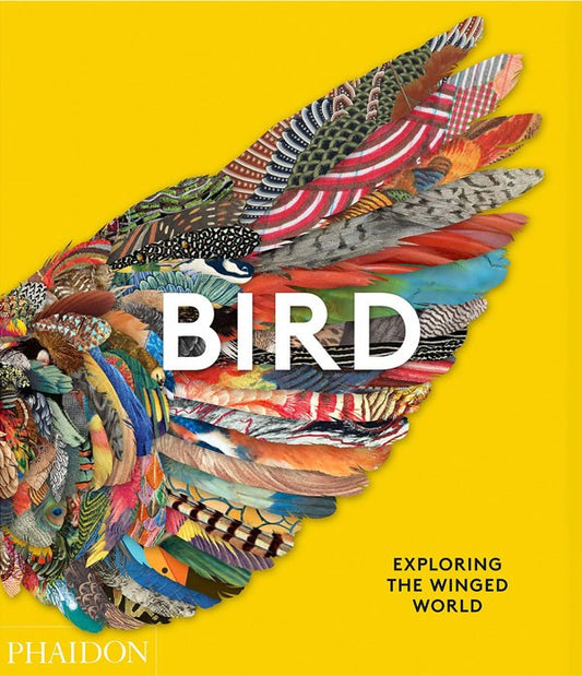 Bird. Exploring the winged world