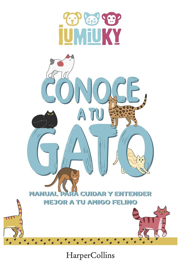 Conoce a tu gato