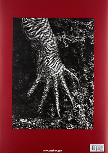 Sebastião Salgado. Génesis – Contrapunto