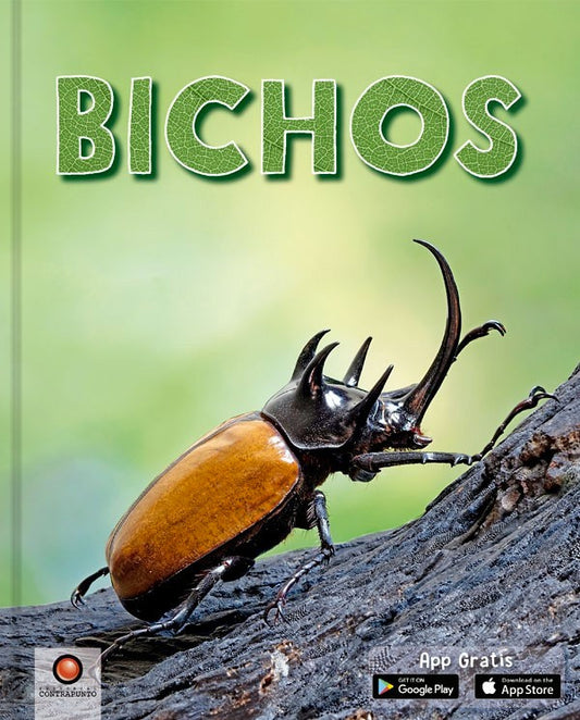 Bichos