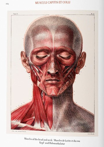 Bourgery. Atlas de anatomía humana y cirugía. Biblioteca Universal