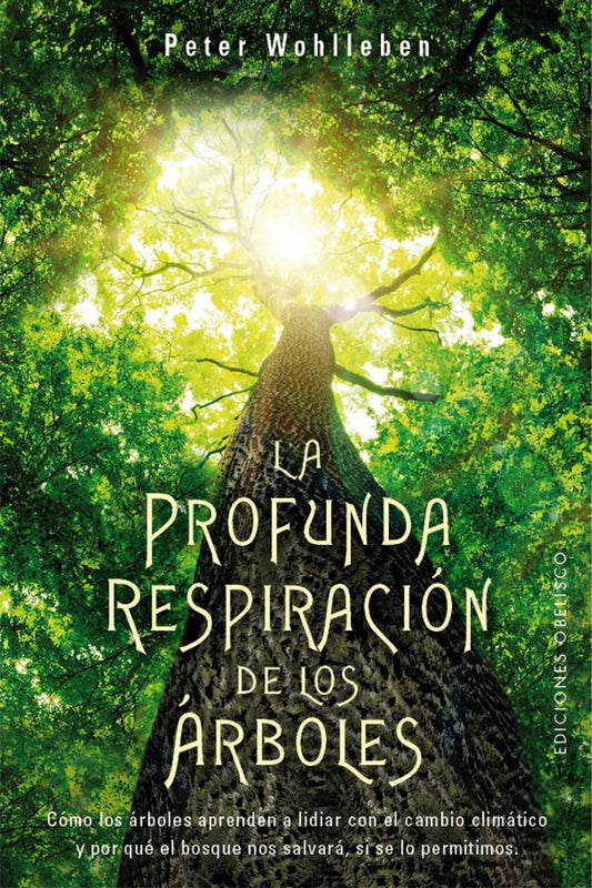 La profunda respiración de los árboles