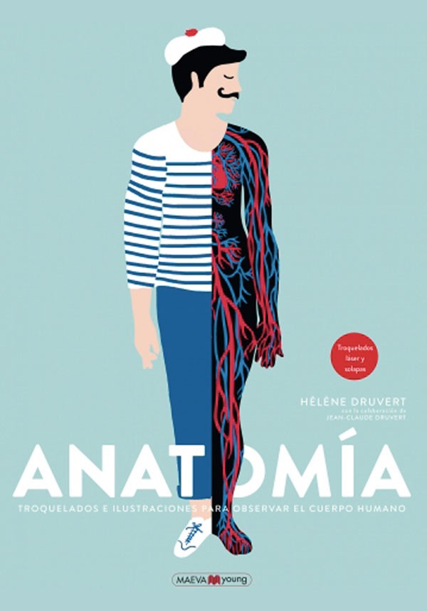 Anatomia