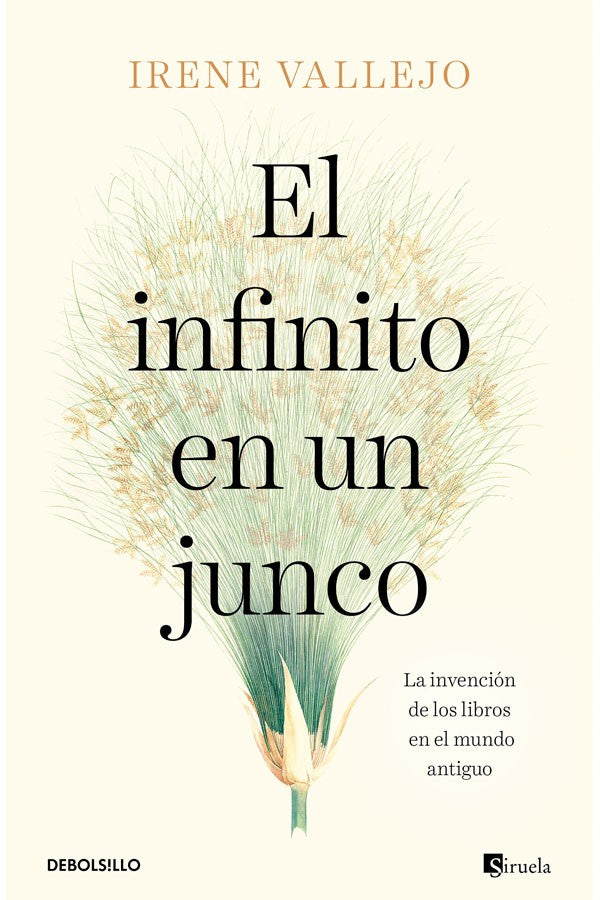 El infinito en un junco